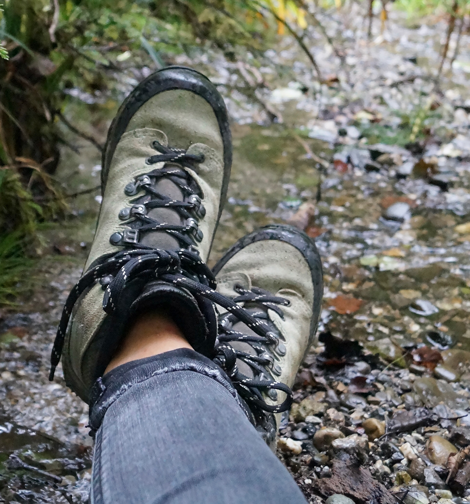 Berggasthaus Gitschenen  Wanderschuhe